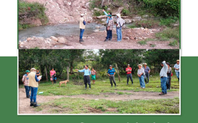 Gira de campo a la comunidad de Vallecillos