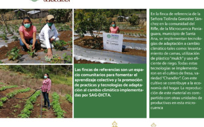 Las fincas de referencia son espacios para el aprendizaje colectivo en las comunidades, El Programa de Gestión Comunitaria de Cuencas- nuestra cuenca Goascorán Fase II, financiado por la Cooperación Suiza América Central COSUDE en asocio con SAG-DICTA ha establecido 30 en la Cuenca Río Goascorán