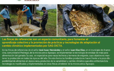 Las fincas de referencias son un espacio comunitario, para fomentar el  aprendizaje colectivo y la promoción de prácticas y tecnologías de adaptación al  cambio climático implementadas por SAG-DICTA