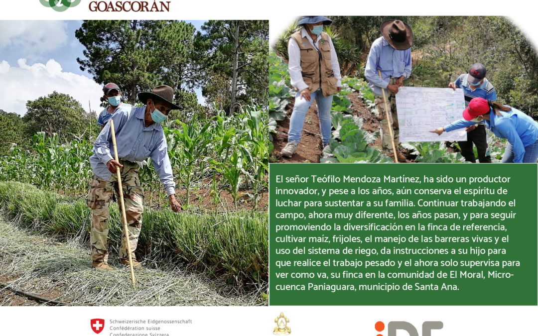 El señor Teófilo Mendoza Martínez, ha sido un productor innovador, y pese a los años, aún conserva el espíritu de luchar para sustentar a su familia.