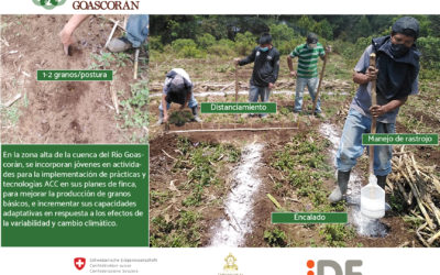 En la zona alta de la cuenca del Río Goascorán, se incorporan jóvenes en actividades para la implementación de prácticas y tecnologías ACC en sus planes de finca