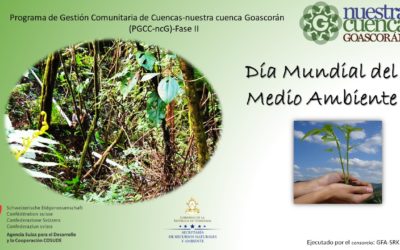 Día Mundial del Medio Ambiente.